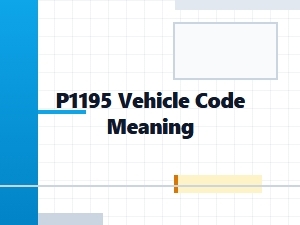 P1195 Code Definition and Meaning