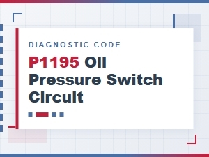 P1195 Error Explanation and Details